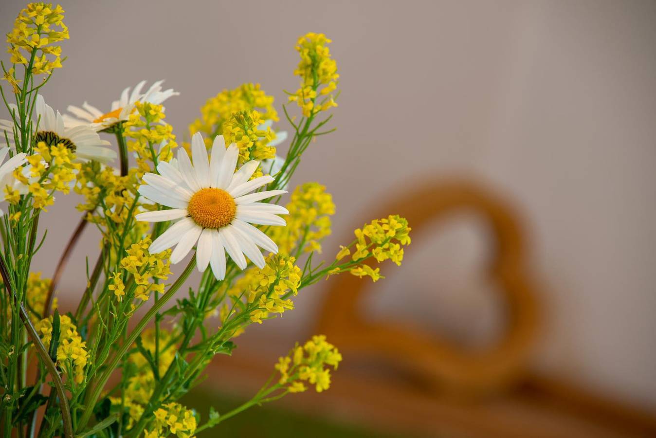 Ganze Ferienwohnung, Ferienwohnung 4 - Sonnenkopf in Fischen, Bayerisch Schwaben