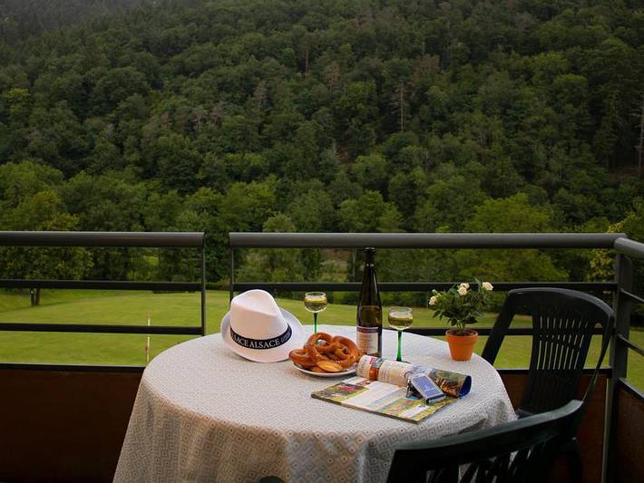 Camping für 6 Personen, mit Balkon, mit Haustier im Elsass - 2