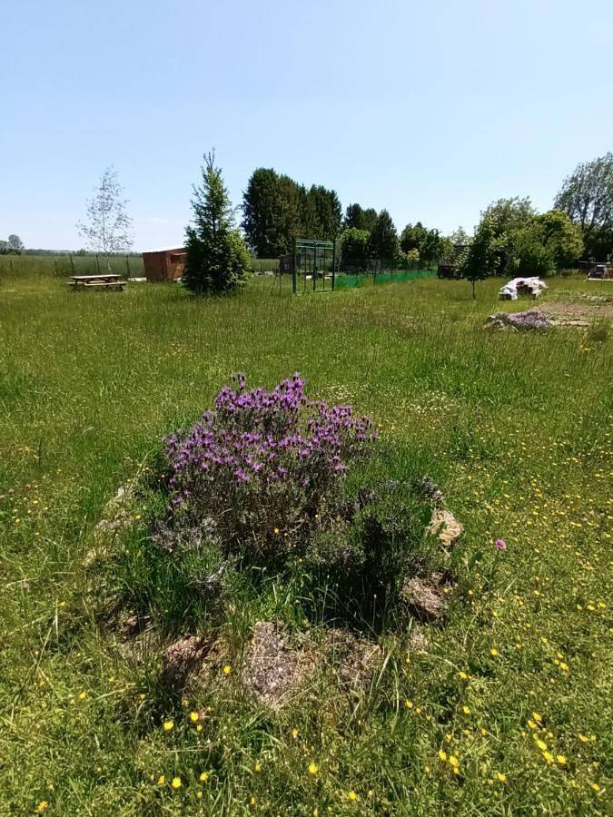 Camping pour 4 personnes, avec jardin ainsi que terrasse et vue, animaux acceptés dans l' Aube - 3