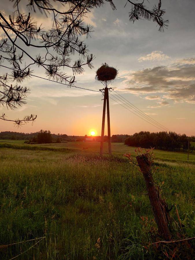 Pod bocianim gniazdem in Podlasie