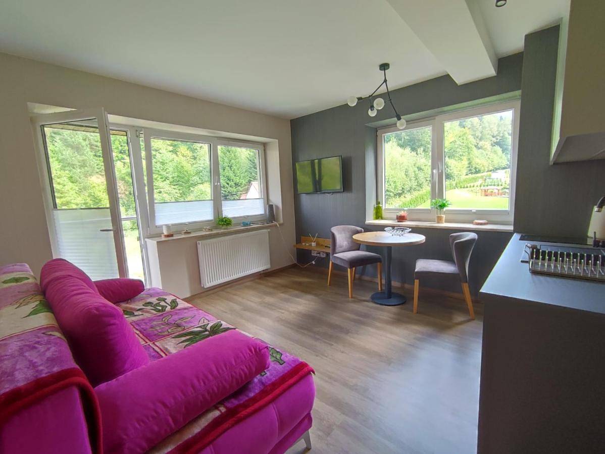 Cały apartament, Czarodziejska Góra Kozubnik Daglezja in Porąbka, Śląsk