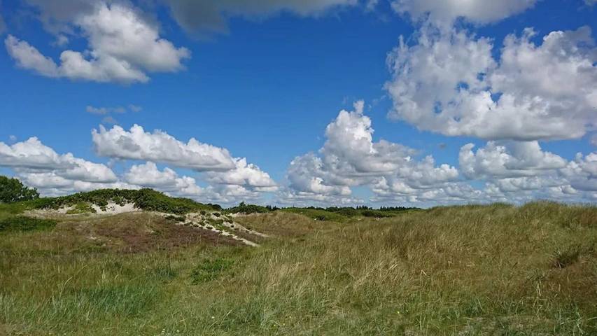 Ferienhaus für 9 Personen, mit Whirlpool und Terrasse sowie Sauna, mit Haustier in Nordostjütland - 4