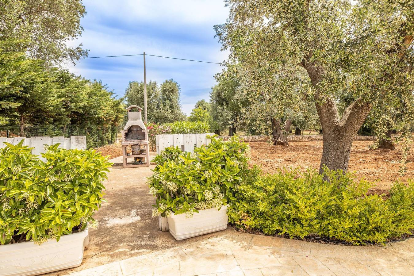 Trullo degli Augelli - Mono Fico by Barbarhouse in San Michele Salentino, Salento