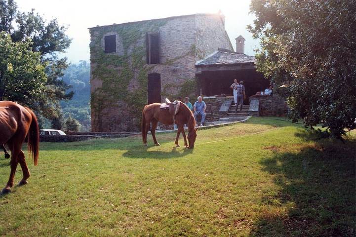 Location de vacances pour 10 personnes à Valle-di-Campoloro - 3