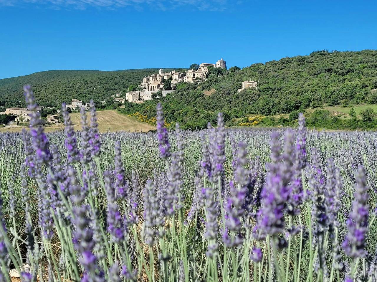 Maison d'artiste au cœur de Simiane-la-Rotonde in Simiane-la-Rotonde, Région de Forcalquier