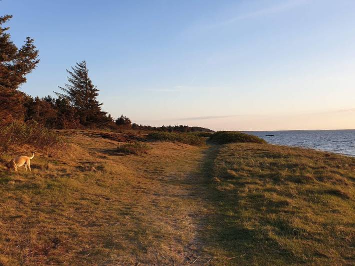 Ferienhaus für 6 Personen, mit Terrasse und Pool am Ringkøbing Fjord - 3