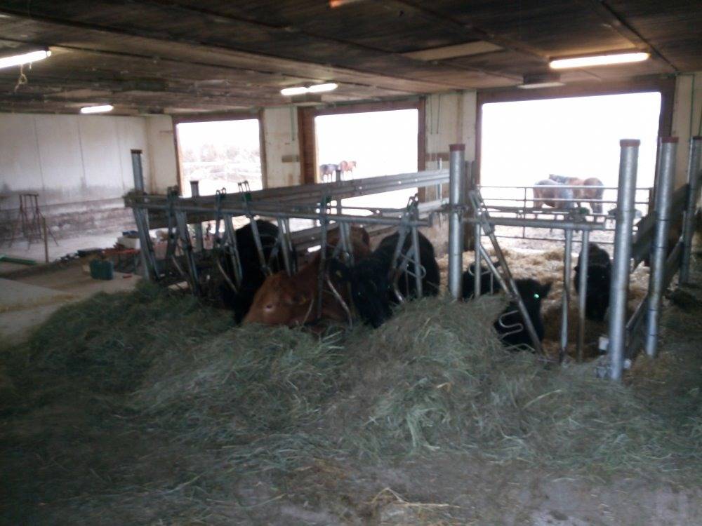 Fränkischer Ferienhof Joas - Star in Gerolfingen, Romantische Straße