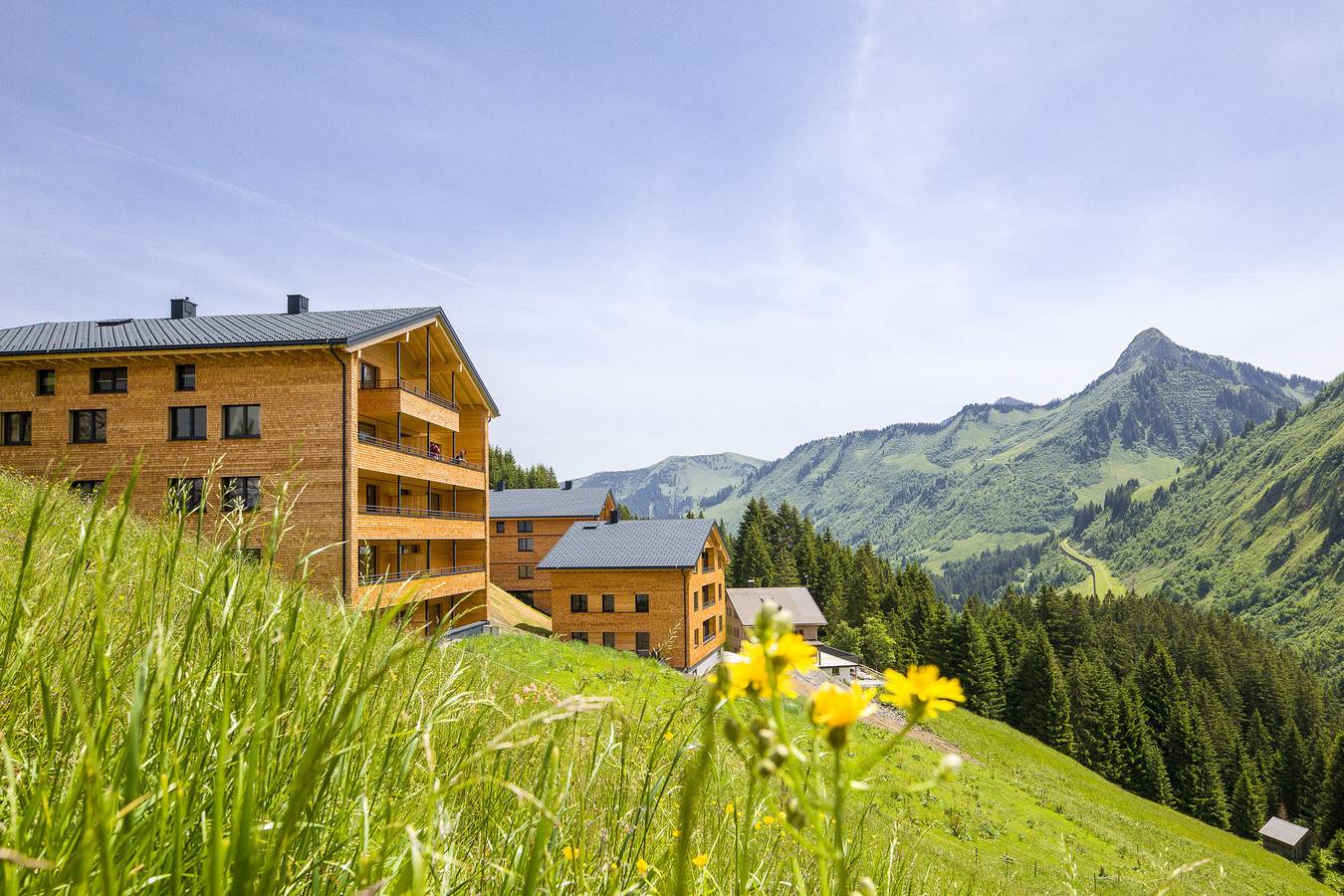 Ganze Wohnung, Alpenstolz #1.02 Komfort in Damüls, Bregenzerwald