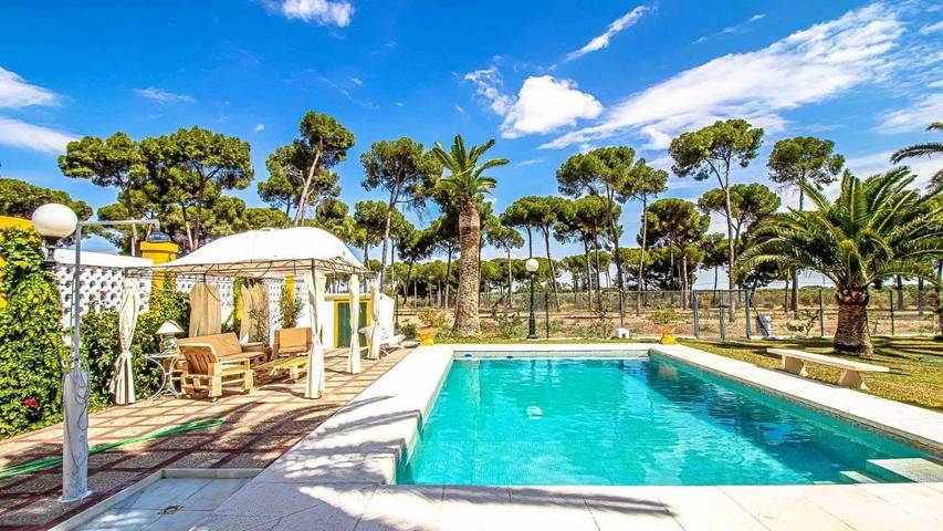 Casa rural para 14 personas, con terraza y piscina en Marchena - 4