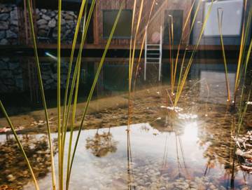 Chalet für 10 Personen in Ybbs, Niederösterreich, Bild 4