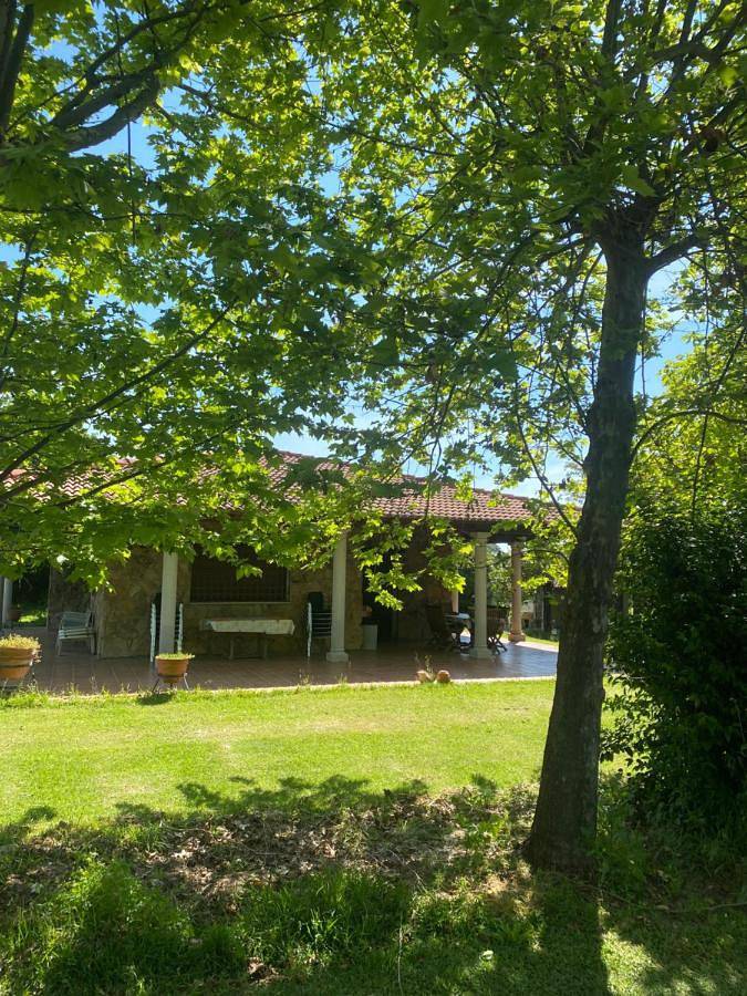 Chalet para 13 personas, con piscina además de vistas y jardín, Se admiten mascotas en Candeleda