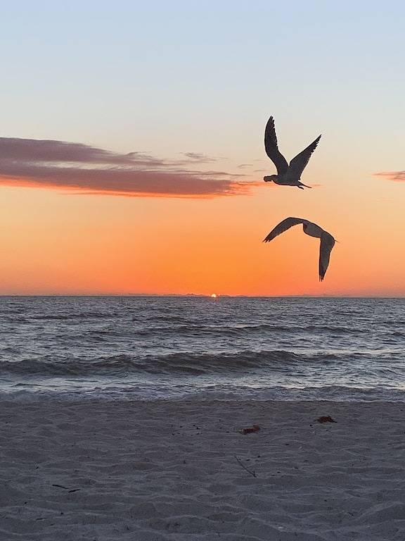 Ganze Wohnung, Bonita beach duplex . West of 41 Available May to December 31, 3 week minimum in Bonita Bay, Bonita Springs