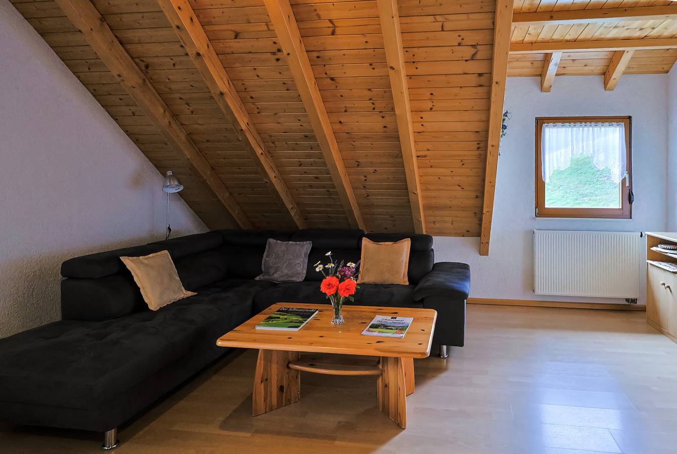 Ganze Wohnung, Ferienwohnung '2' mit gemeinsamer Terrasse, Balkon und Wi-Fi in Hornberg, Mittlerer Schwarzwald