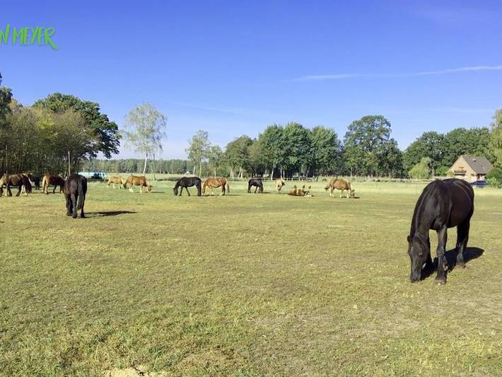 Ferienhaus für 4 Personen, mit Terrasse, kinderfreundlich in Landkreis Heidekreis - 4