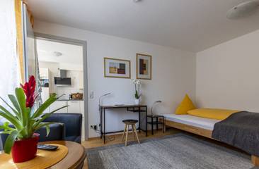 Vakantieappartement voor 2 Personen in Stühlinger (Freiburg), Freiburg, Afbeelding 1