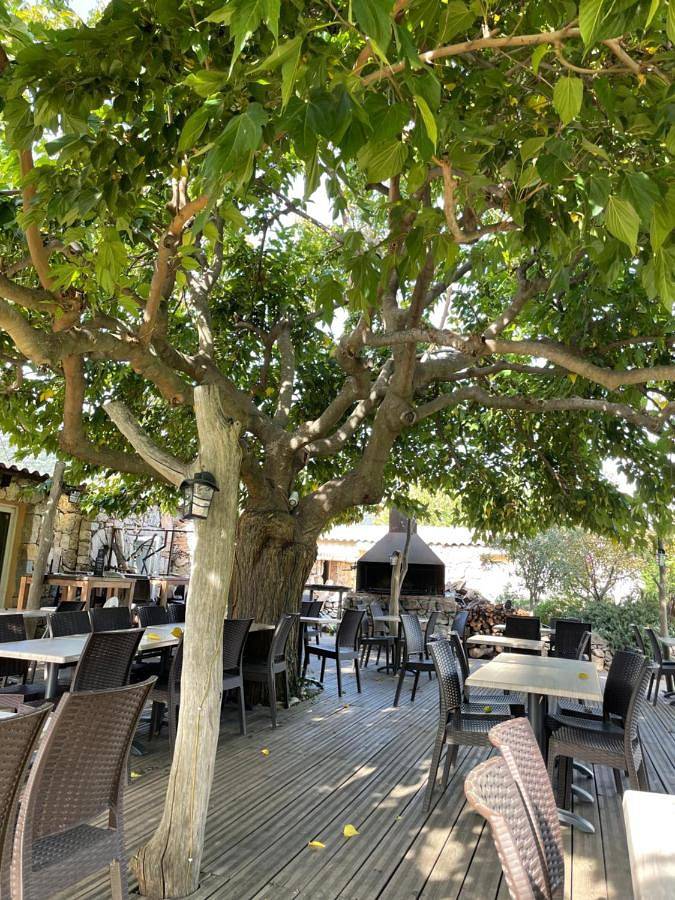 Hôtel pour 8 personnes, avec jardin à Olmiccia - 2