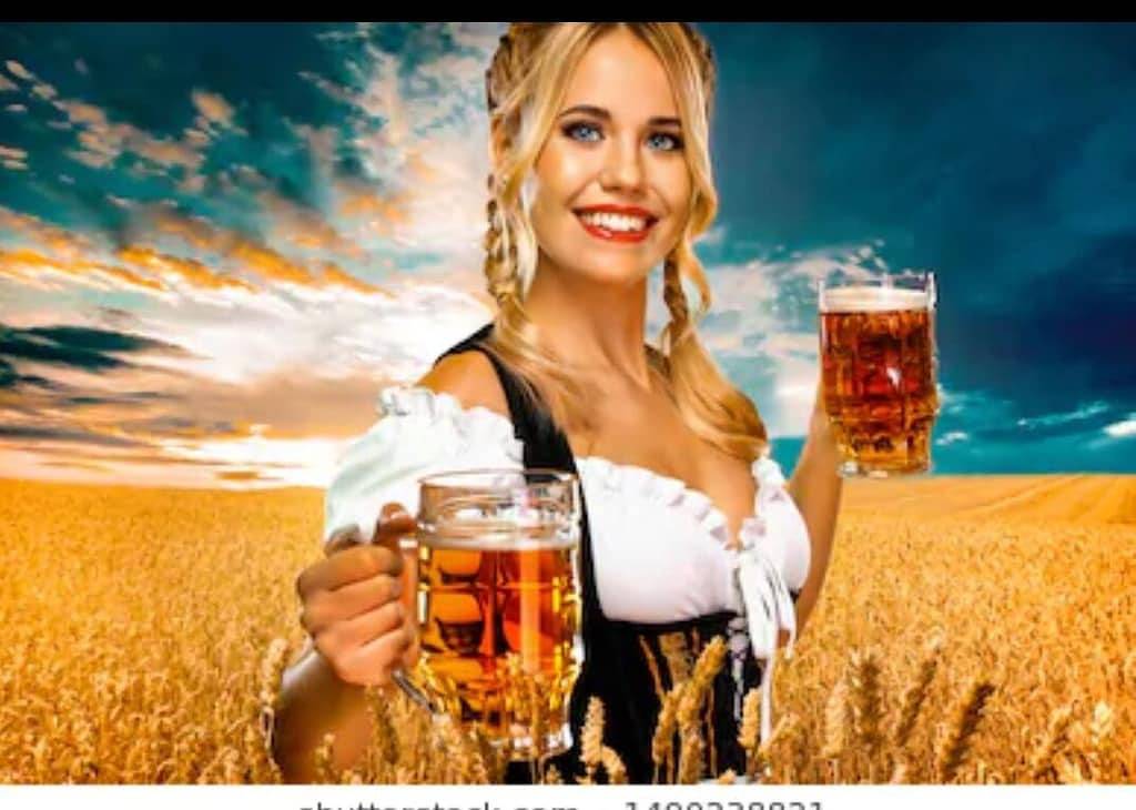 1913 Love Shack Bethel Woods 2 miles away Large Juke Box 6 Breweries Near By in Sullivan County