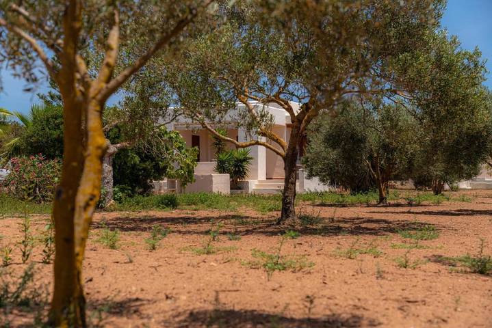 Villa pour 10 personnes, avec piscine et terrasse ainsi que jardin et vue dans Formentera - 4