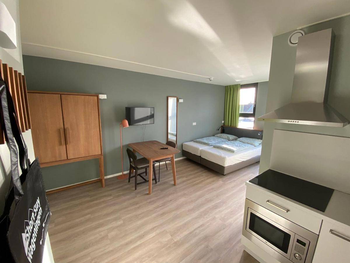 Studio in Wageningue, Hoge Veluwe