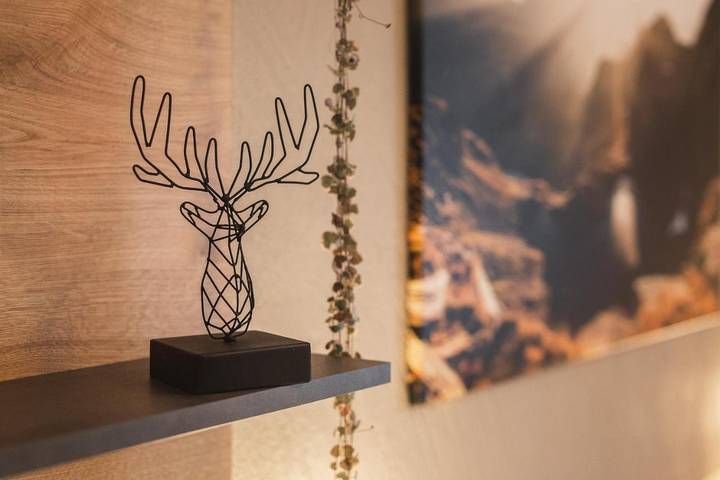 Gîte pour 5 personnes, avec jardin et vue à Fiss - 3