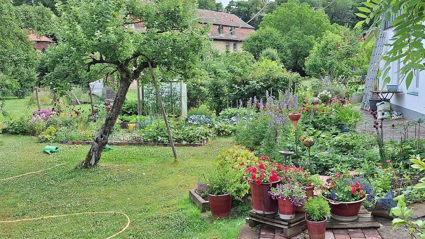 Ferienwohnung für 4 Personen, mit Balkon in Michelstadt - 3