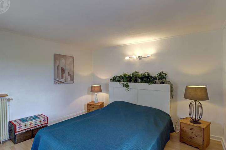 Gîte pour 8 personnes, avec jardin et piscine, animaux acceptés à Belmont-de-la-Loire - 3