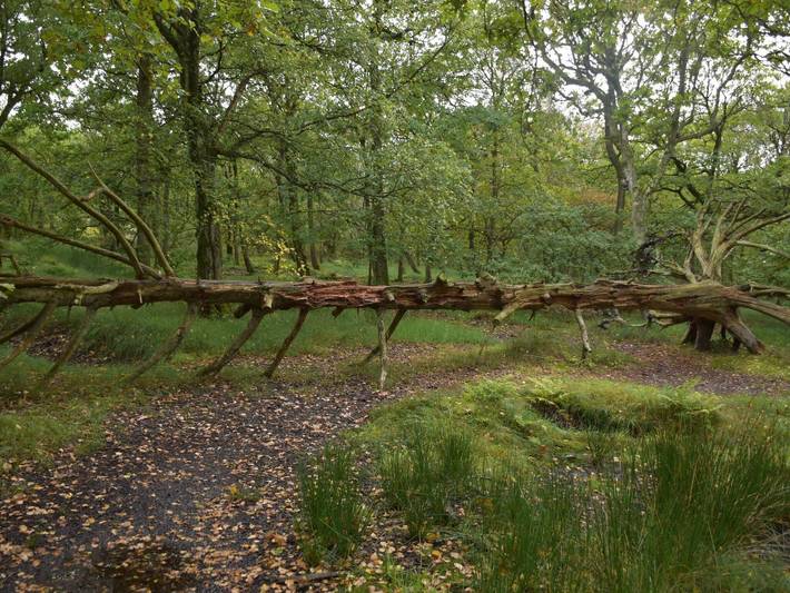 Ferienwohnung für 4 Personen, mit Pool und Sauna sowie Balkon, kinderfreundlich auf Fanø - 3