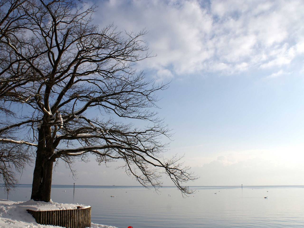 Ganze Ferienwohnung, Ferienwohnung Pfänder in Friedrichshafen, Region Bodensee-Oberschwaben