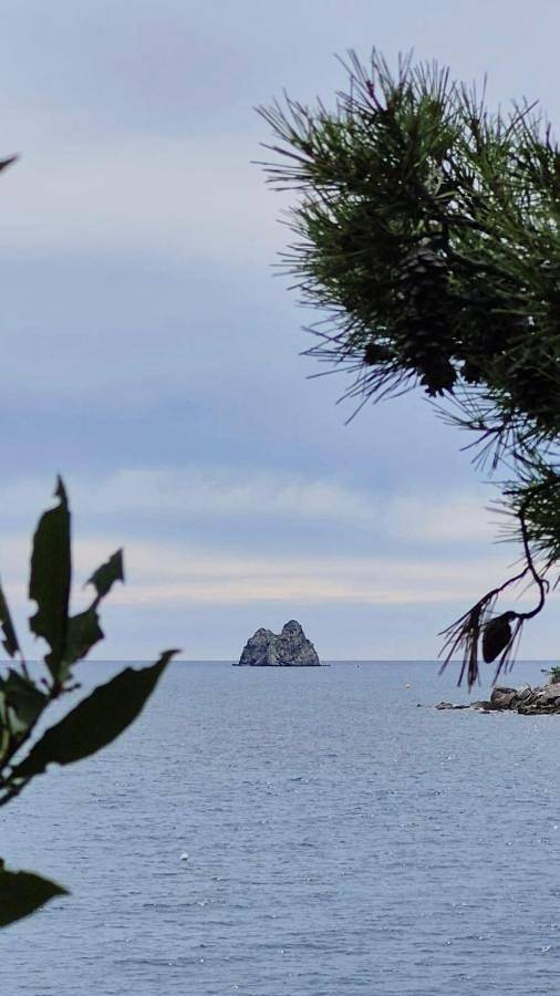 Villa pour 6 personnes, avec jardin et piscine à La Seyne-sur-Mer
