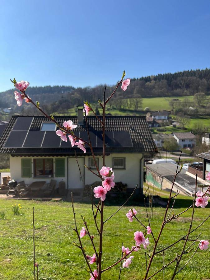 Ferienhaus für 4 Personen, mit Garten und Ausblick in Schönbrunn