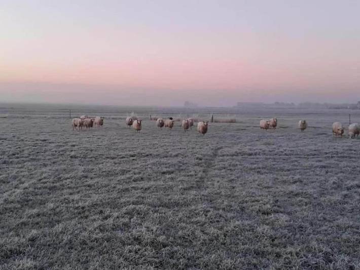 Ferienhaus für 4 Personen, mit Garten und Terrasse, kinderfreundlich am Ijsselmeer - 3