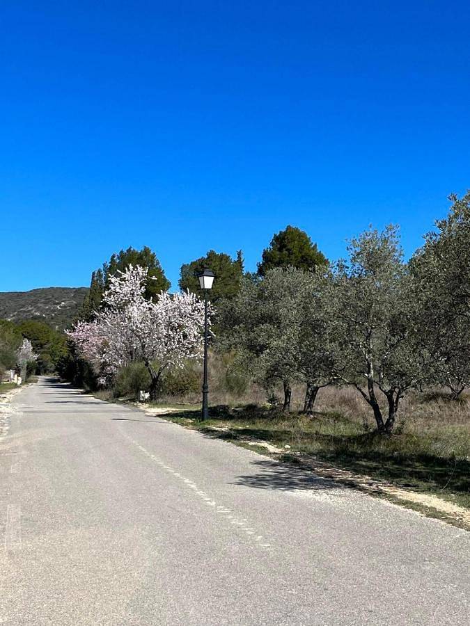 Villa with Private Pool in Puyvert, Regionaler Naturpark Luberon