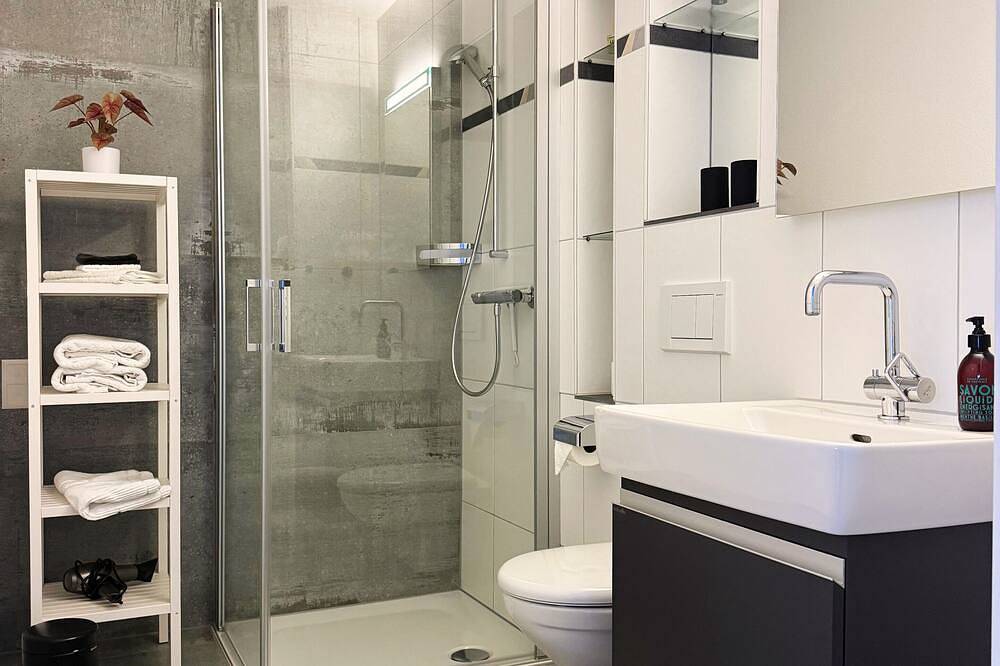 Appartamento intero, Peaceful Apartment in a Well-Connected Area in Canton Zurigo