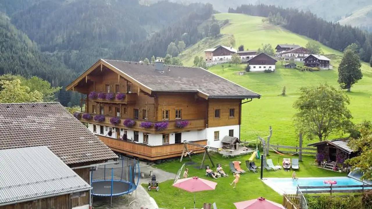 Ganze Ferienwohnung, Ferienwohnung für 3 Personen (30 m²) in Dienten Am Hochkönig in Dienten am Hochkönig, Ski Amadé