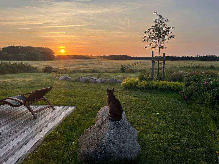 Ferienhaus für 6 Personen, mit Garten und Sauna, mit Haustier in Damshagen - 2