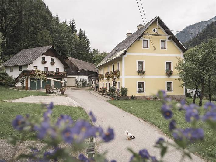 Zimmer für 4 Personen, mit Balkon und Terrasse sowie Garten und Ausblick