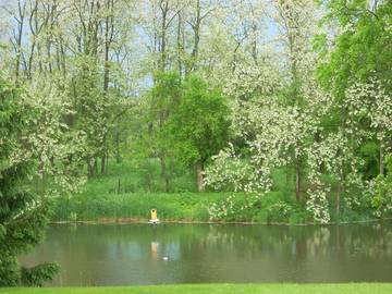 Bed And Breakfast for 3 Guests in Ohio, USA, Picture 1