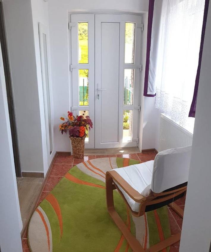 Gîte pour 3 personnes, avec jardin et vue, animaux acceptés dans Cluj-Napoca - 4