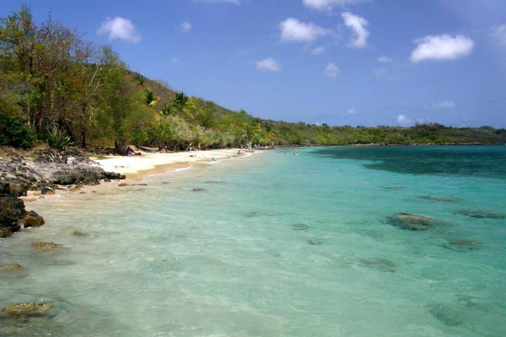 Maison d’hôte pour 2 personnes, avec terrasse et jardin dans Le Marin - 4