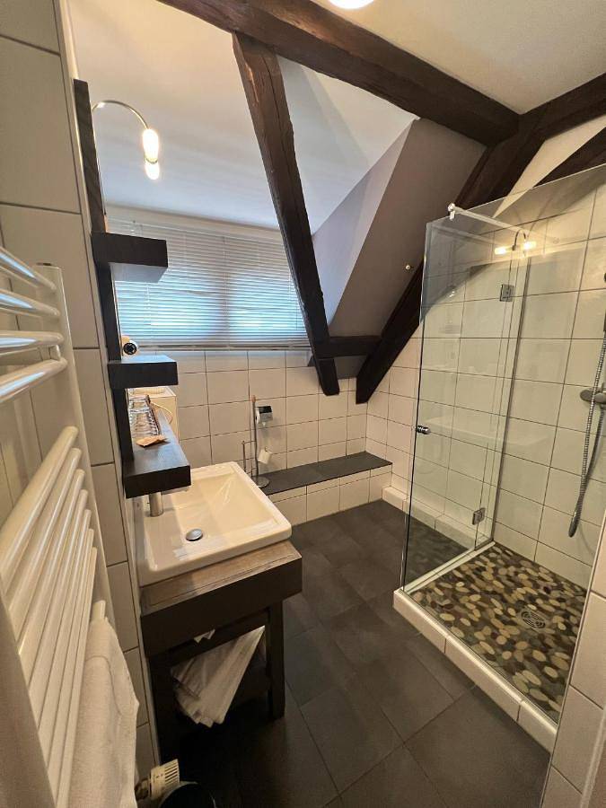 Hôtel pour 2 personnes, avec sauna et jacuzzi ainsi que terrasse et piscine, animaux acceptés à Bergheim - 2