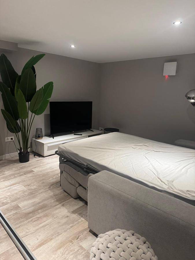 Gîte pour 4 personnes, avec terrasse, animaux acceptés à Geispolsheim - 3