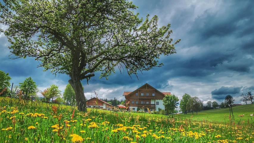 Bauernhof für 5 Personen, mit Garten und Balkon, mit Haustier in Ramsau am Dachstein - 4