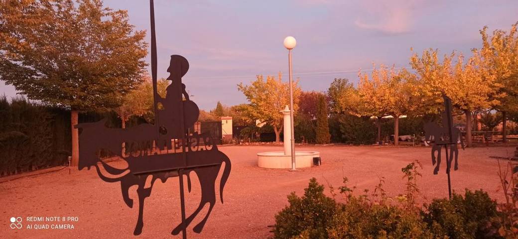 Casa rural para 8 personas, con vistas además de jardín y piscina en Argamasilla de Alba - 2