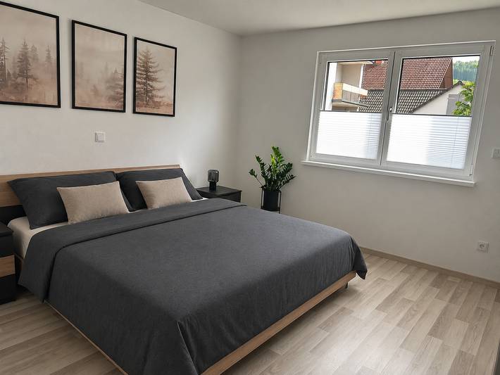 Ganze Wohnung, Ferienwohnung Katharina - Ferienwohnung (56m² mit Terrasse und Gartenzugang in Bad Staffelstein, Oberes Maintal - Coburger Land