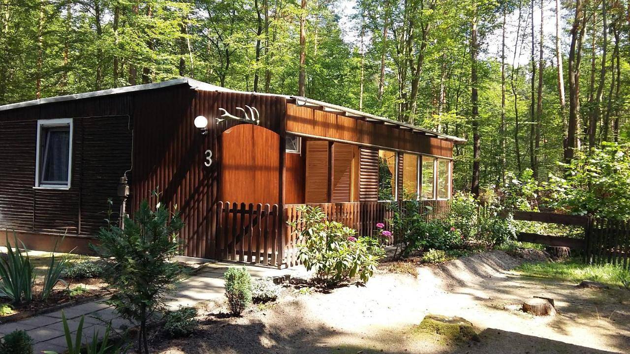 Bungalowdorf Briesensee in Briesensee, Neu Zauche