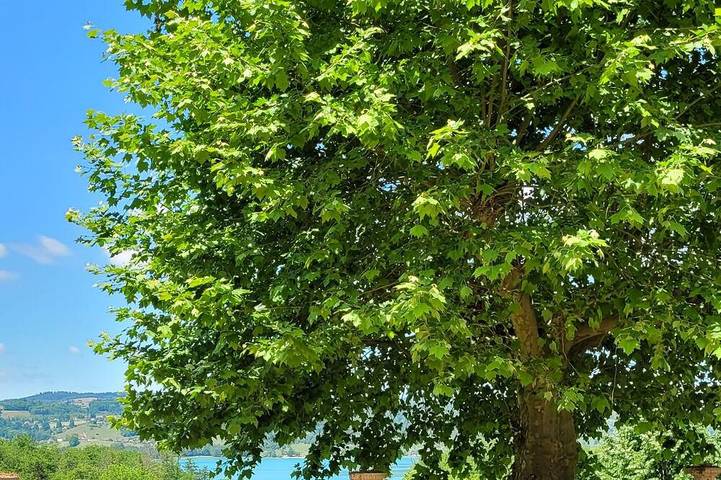 Gîte pour 6 personnes, avec Jardin à Aiguebelette-le-Lac