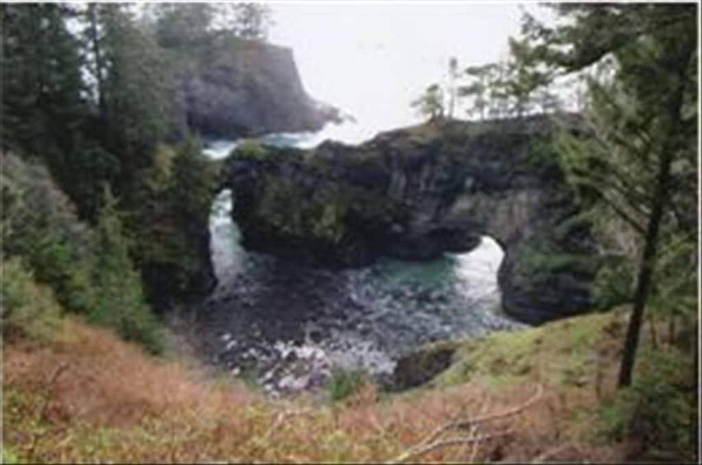 Ganze Wohnung, Jaw-Dropping View, Wanderwege, Familie, Tag zur freien Verfügung, Kamin, Privatstrand, mit einem Gatter versehen und sauber in Curry County