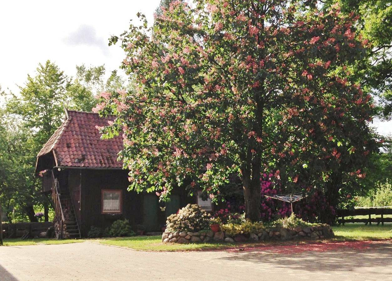 Three-Bedroom House in Wietzendorf, Landkreis Heidekreis