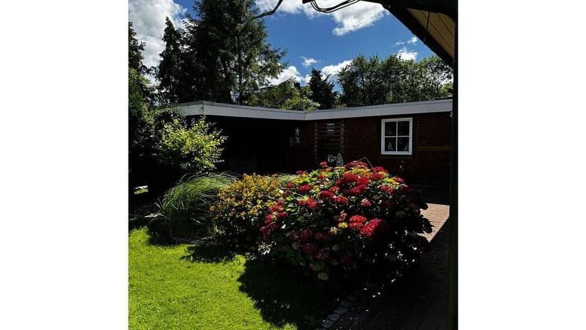 Ferienhaus für 6 Personen, mit Sauna und Terrasse in Drochtersen - 2