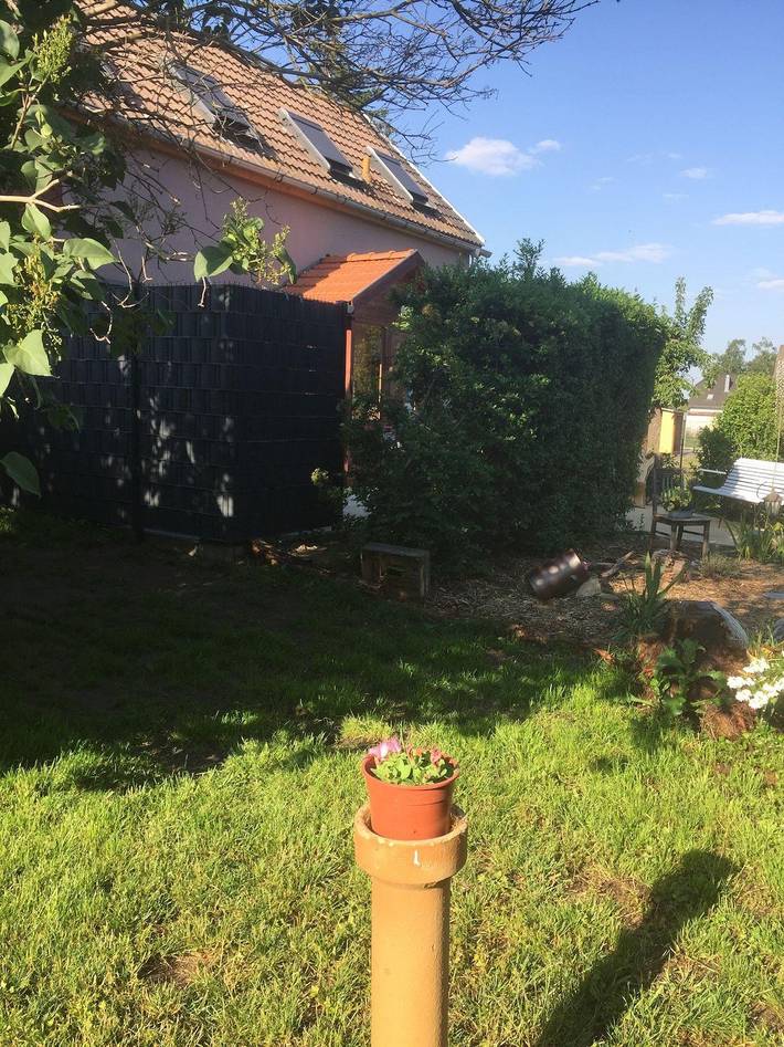 Bauernhof für 6 Personen, mit Garten und Terrasse im Harz - 4